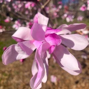 Meet your Posher, Courtney